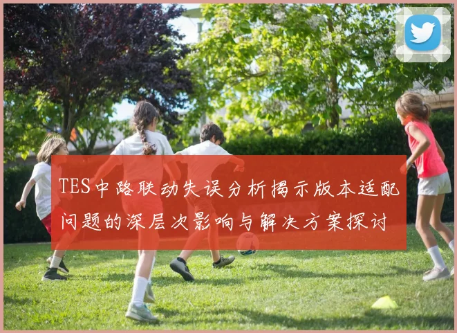 TES中路联动失误分析揭示版本适配问题的深层次影响与解决方案探讨